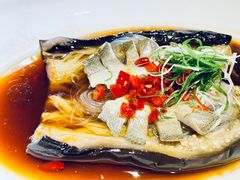清蒸鲥鱼-圆苑(金茂店)