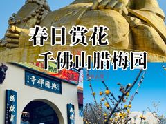 -千佛山风景名胜区