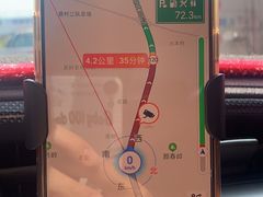 -海南霸王岭国家森林公园