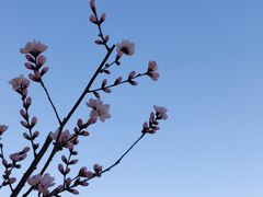 -颐和园