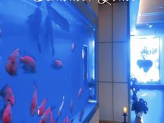 -宫七SPA·高端Massage(浦东大道店)