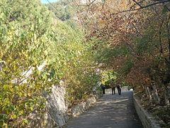 -佛慧山