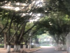 -四川名小吃·宜宾燃面(鼓新路店)