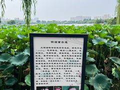-济南大明湖景区