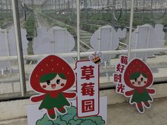 -苏州太湖西山岛开心农场