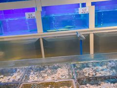-集贤阁海鲜酒楼(北辰总店)