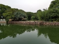 -蠡湖大桥公园