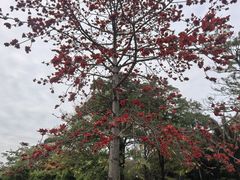 -东风公园