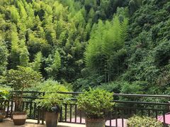 -将军关探险漂流