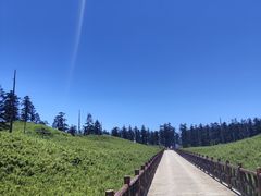 -瓦屋山景区