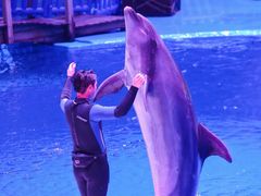 -华夏文旅海洋公园