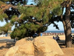 -老虎石海上公园