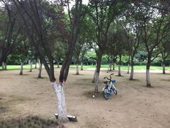 -陕西自然博物馆