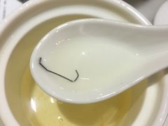 -糖朝(尖沙咀店)