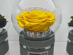 -ROSEONLY诺誓(广州K11店)