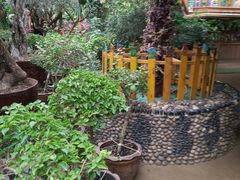 -呀路古热带植物园