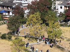 -塔川景区