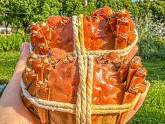 -丫丫蟹庄·苏式园林农家乐·阳澄湖大闸蟹(阳澄湖莲花岛店)