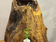 -金蚁康•经络调理•肩颈按摩(万达金街店)