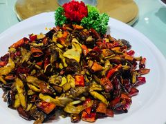青椒牛肝菌-朱家小厨(红塔西路店)