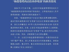 -杨婆婆烤肉(文昌阁店)