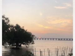 -宝安西湾红树林湿地公园