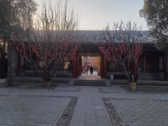 -颐和园