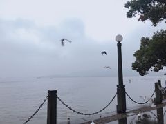 -西湖外事游船(湖滨二公园外事游船码头)