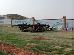 -君乐宝优致牧场