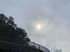 -福道