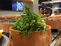 -龍歌自助小火锅(市南金茂湾店)