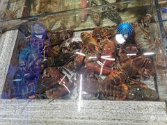 -鑫复盛皇嘉海鲜酒店
