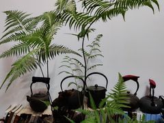 -道南書院·私房菜·早午茶·茶馆