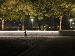 -天鹅湖体育公园