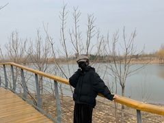 -东郊湿地公园