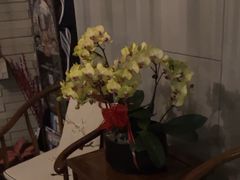 -康友四季(碧云路店)