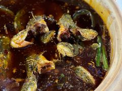 -金海椒罐罐鲢鱼(东方桂苑店)