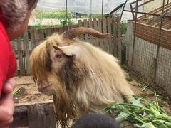 -小鱼草莓采摘园农家乐·小鱼餐厅