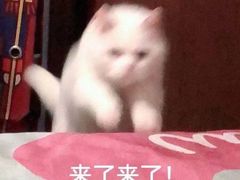 -荔康动物医院(康王北路店)