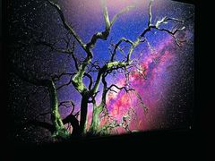 -罗红摄影艺术馆