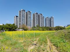 -光明小镇欢乐田园