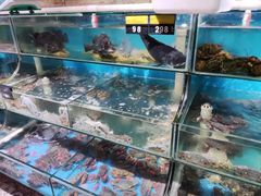 水产区-蟹谢蒸鲜自助餐厅