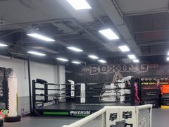 -拳力汇散打搏击泰拳俱乐部(绿地缤纷城店)