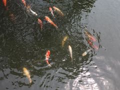 -杭州西湖柳莺里酒店