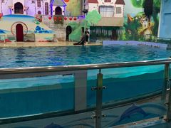 -台州海洋世界