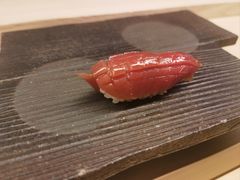 -焘