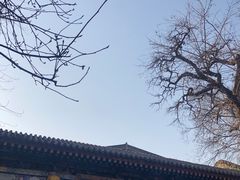 -湘子庙