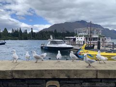 -Fergburger(皇后镇店)