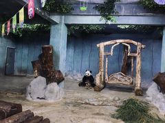 -海南热带野生动植物园