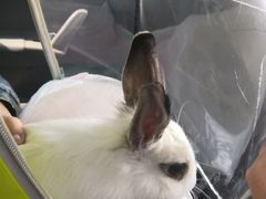 -雨林宠物医院 非犬猫异宠专科